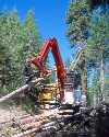 210 LX Timber Loader