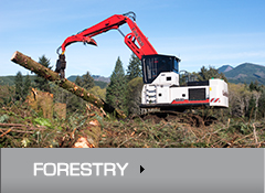 Forestry