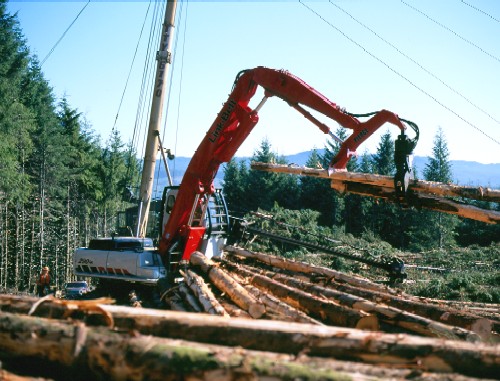 290 LX Timber Loader