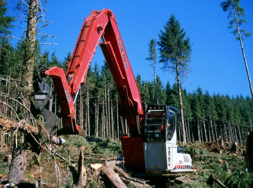 370 LX Timber Loader
